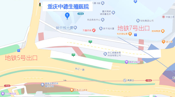 来院路线